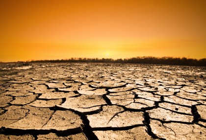 Dry, Cracked Earth under the sun