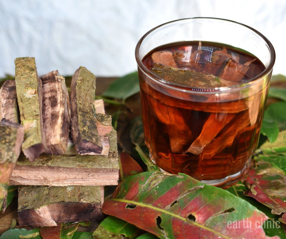 Arjuna Bark and Tea