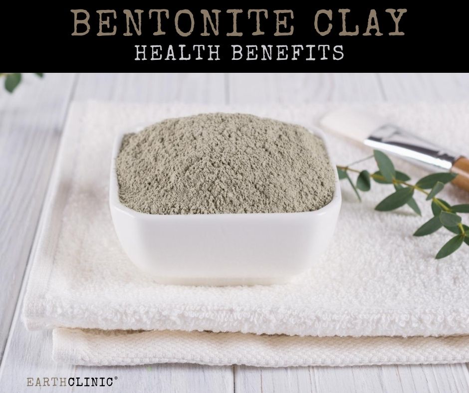 Bentonite Clay Metal Detox Digestive Support Acne - One Life Natural Market  NC