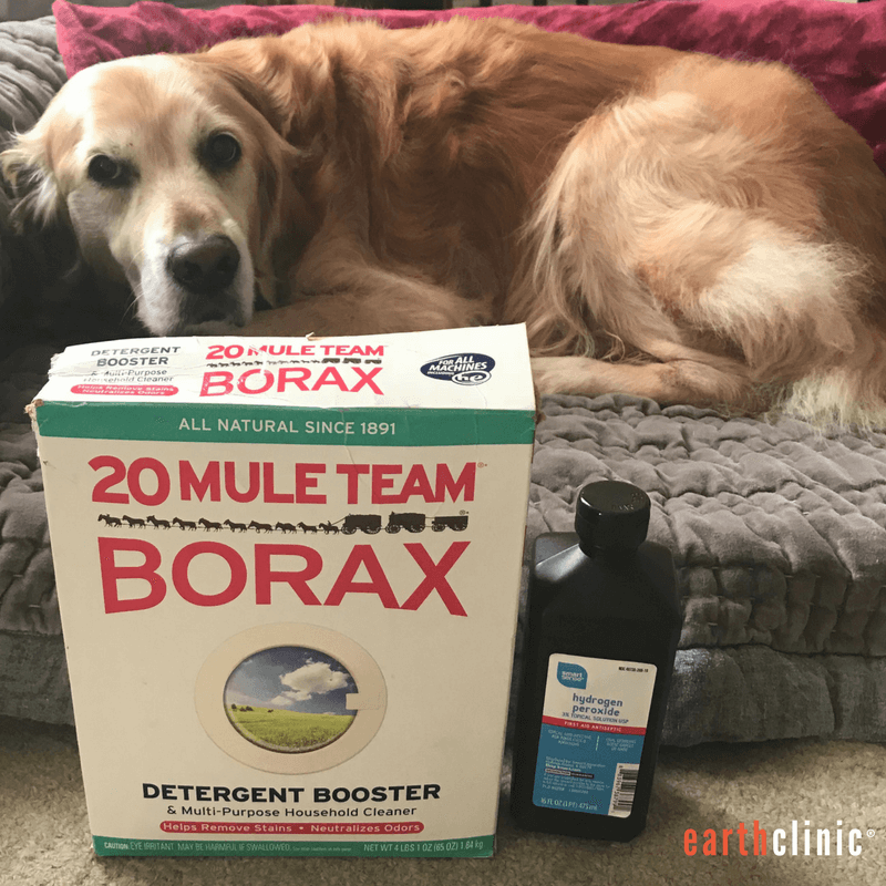 Borax For Mange Ted S Remedy For Demodectic And Sarcoptic Mange