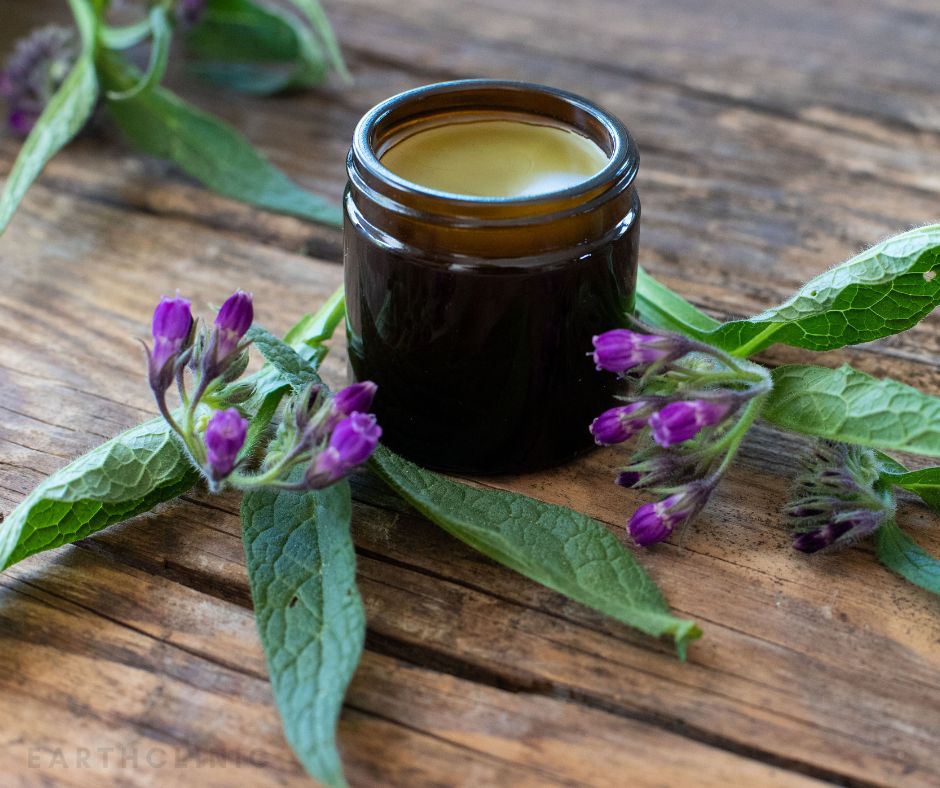 Comfrey Ointment.