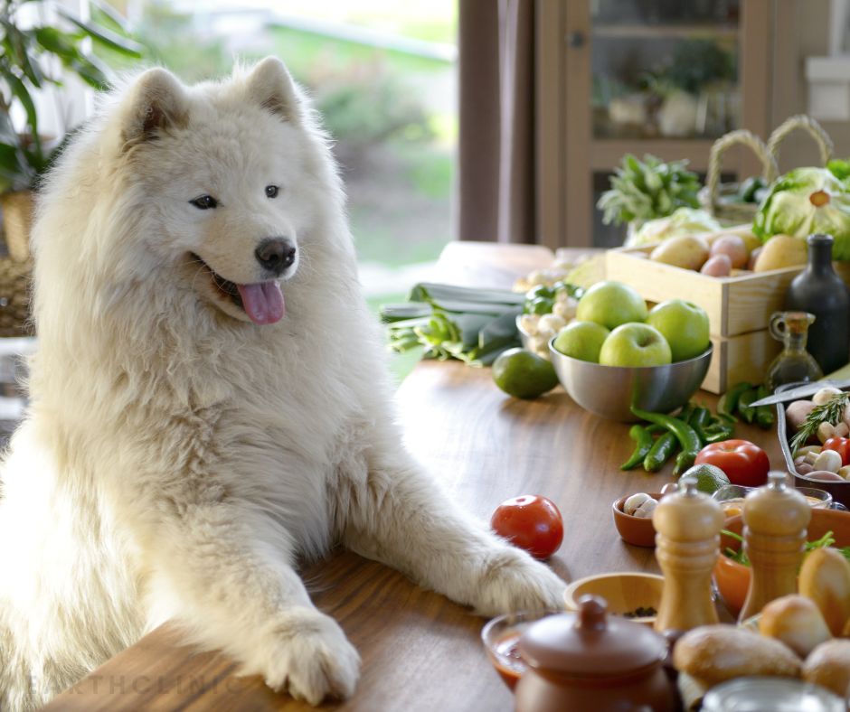 Dog in the Kitchen.