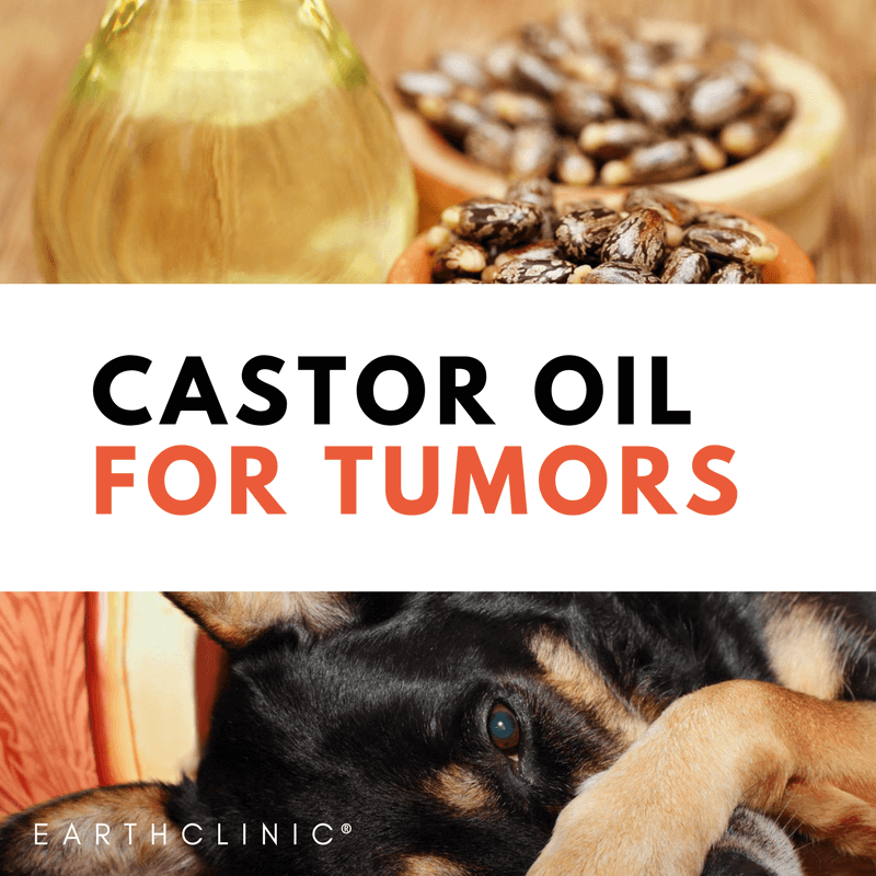 can mast tumors in dogs be treated